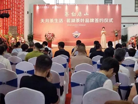 天月茶生活.唐山茗湖茶叶签约仪式圆满举办